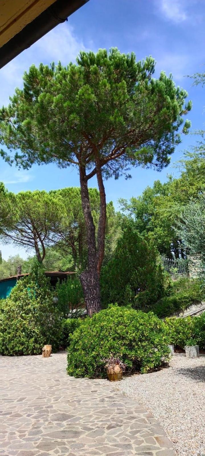 Ponte A Bozzone Villa Santa Margherita - La Suvera מראה חיצוני תמונה