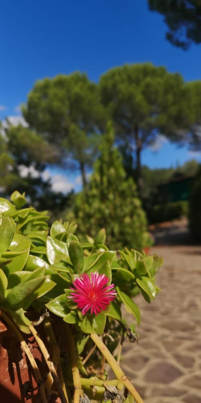 Ponte A Bozzone Villa Santa Margherita - La Suvera מראה חיצוני תמונה
