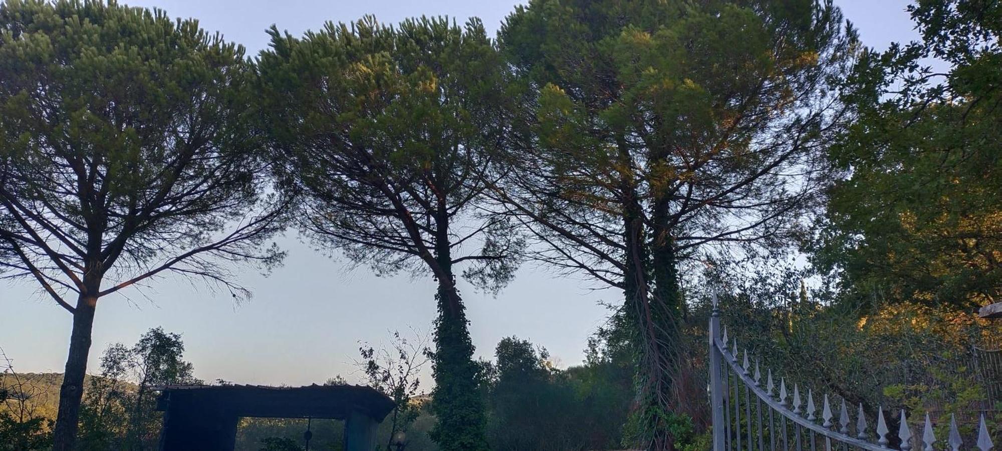 Ponte A Bozzone Villa Santa Margherita - La Suvera מראה חיצוני תמונה